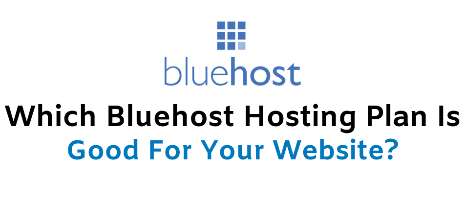 Which Bluehost Hosting Plan Is choose